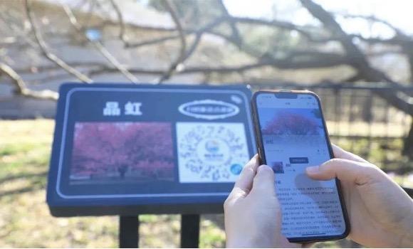 从“走马观花”到“时空穿越”：启点创新以“AR实景导航+一码通全域”打造古镇深度文化体验闭环(图1)